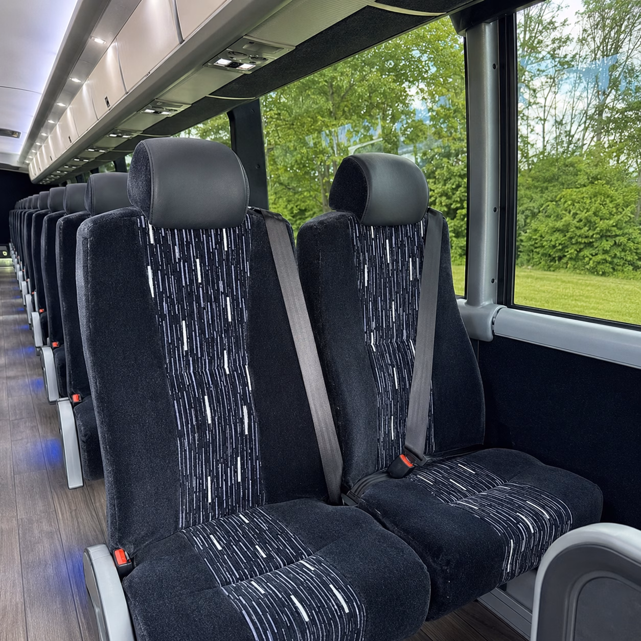 cross the brazos valley and beyond your bus goes where your group goes